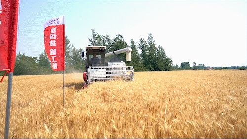 8e8bdb085c82403faf437f0417ed10fa