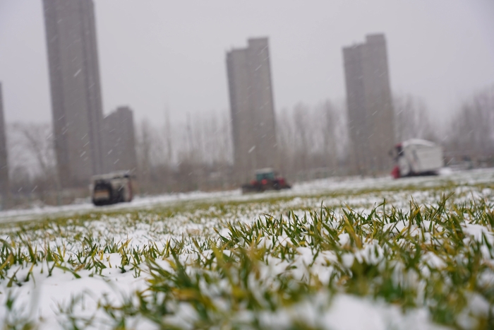 fff8bc6ce2a548708a691876c635108b