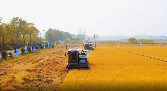 ced5432505e54211856dec09377119fc