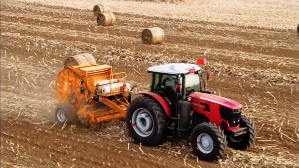 d73192082abd4b118b241c3f5c4c9aed