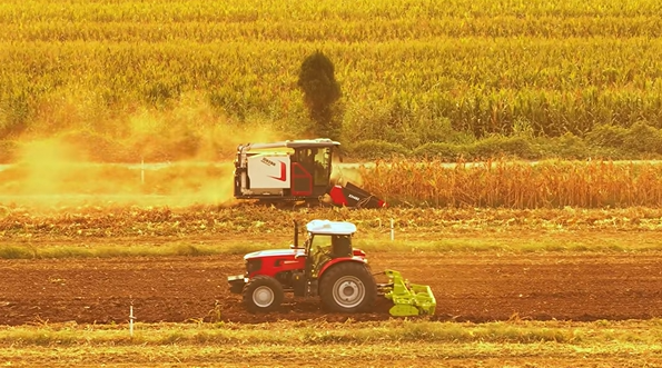 至尊国际 – 至尊服务,至尊享受