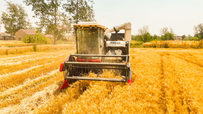 efd1c8324226457a95ede22b2d08e7f7