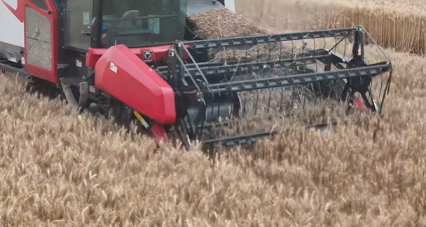 至尊国际 – 至尊服务,至尊享受