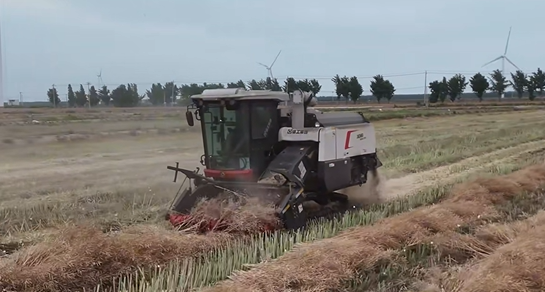 至尊国际 – 至尊服务,至尊享受